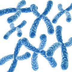 Chromosome Isolated on white background. Science background. 3D illustration