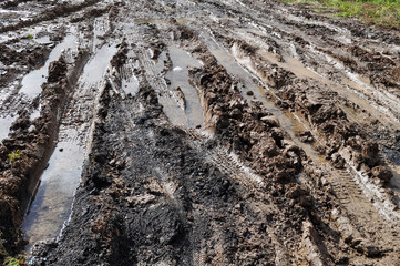 dirt road after rain
