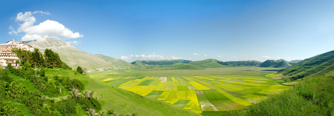 Obraz na płótnie Canvas cultivated fields of Pian Prande of Castelluccio di Norcia Perugia Umbria Italy