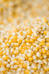 Corn (background image)