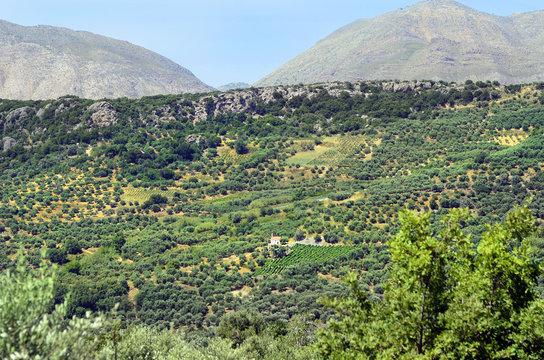 Greece, Crete, Axos