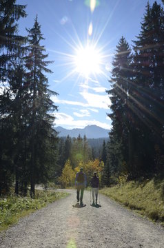 Sunny Hiking