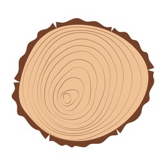 Tree slice vector isolated