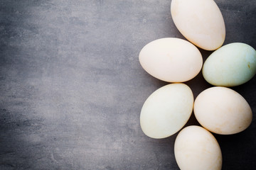  Duck eggs on a cage gray background.