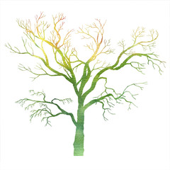 watercolor tree silhouette