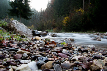 Forest stream in autumn