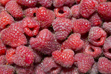 raspberry