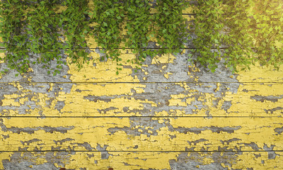 Obraz premium 3d rendering ivy vegetation on art wooden wall