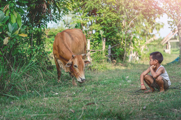 Happy kids feeding cows on a farm. Little boy feed cow on a country field in summer. Farmer children play with animals. Child and animal friendship. Family fun in the countryside.