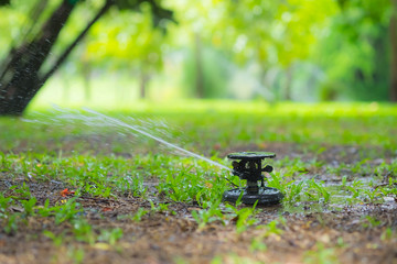 Automatic Garden Lawn sprinkler in action watering grass.