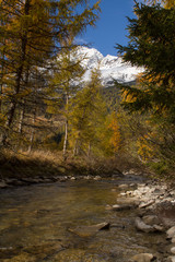 Water Creek In Autumn