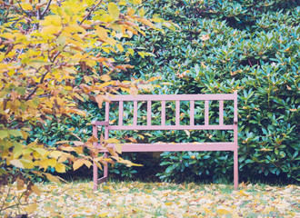 wooden bench in city park