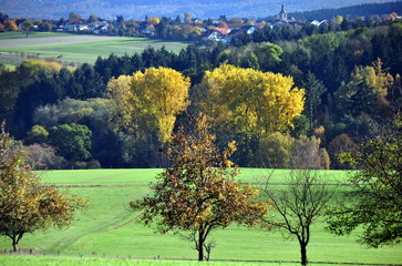 Herbstlandschaft im Hochtaunus