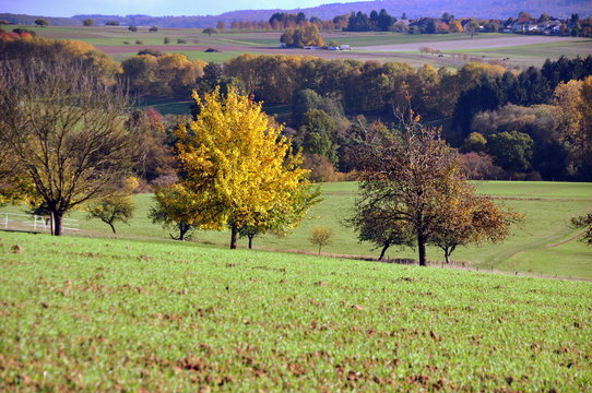 Farbige Herbstlandschaft Hessens