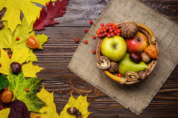 autumn still life, harvested  with fall leaves and autumn fruit, gifts of autumn, wooden background, walnuts, maple leaves - autumn composition from top.