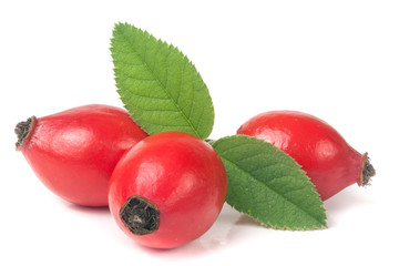 three rose hip berry with leaf isolated on white background