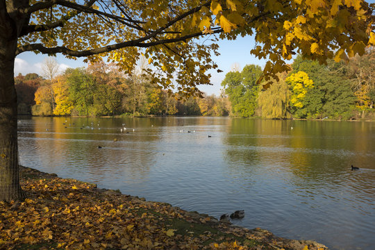 Der englische Garten in München im Herbst