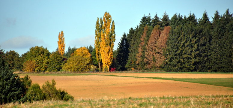 Farbige Herbstlandschaft Hessens