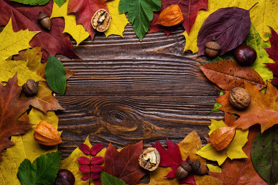 autumn still life, fall leaves, gifts of autumn, copy space, wooden background, walnuts, maple leaves - autumn composition from top. Free space for text. Colorful autumn leaves