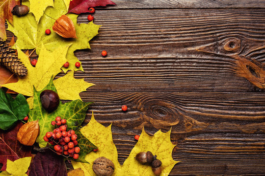autumn still life, fall leaves, gifts of autumn, copy space, wooden background, walnuts, maple leaves - autumn composition from top. Free space for text. Colorful autumn leaves