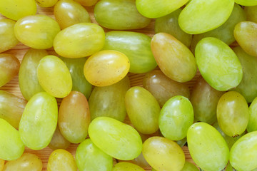 the white grapes