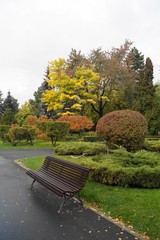 The colors of autumn in the park