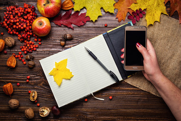 girl holding a phone, notebook, pen and telephone in autumn still life, fall leaves, gifts of autumn,  wooden background, walnuts, maple leaves - autumn composition from top. Colorful autumn leaves