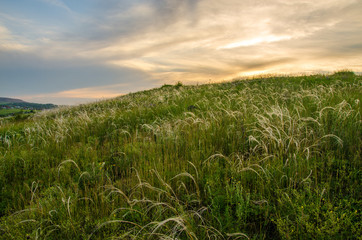 Summer crimson sunset.