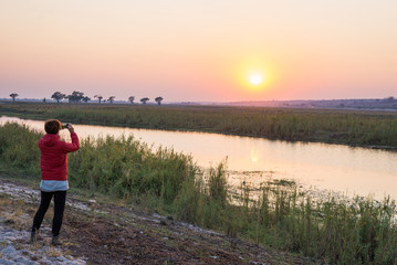 Fototapeta na wymiar Tourist taking photo with smartphone at majestic sunset over Chobe River, Namibia Botswana border, Africa. Natural colors, rear view.
