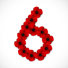 number six poppy background