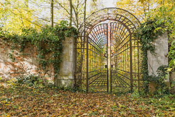 Beautiful old iron locked gate in the park with colorful autumn leaves of trees. Horizontally.