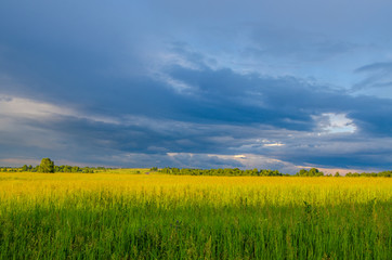 Fototapeta premium blue clouds on a green glade