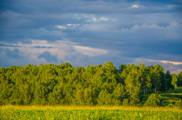 blue clouds on a green glade