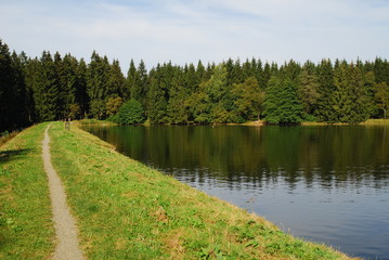 Fototapeta na wymiar Wanderweg am Buntenbocker Teich