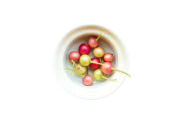 Calabura, Jam tree, Jamaican cherry, Malayan Cherry,top view