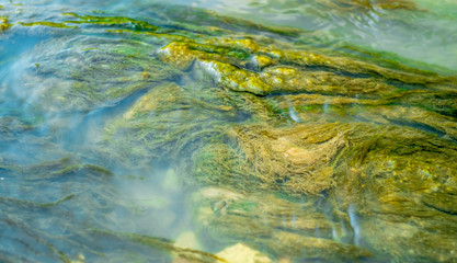 Green algae under blue water drawn by stream