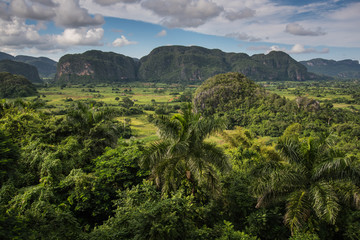 Fototapeta premium Panoramic vista over Vinales Valley in Cuba