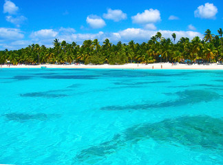 Beach on the tropical island. Clear blue water, sand and palm trees. Beautiful vacation spot, treatment and aquatics.