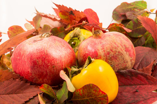 Melograni e cacchi su foglie rosse 