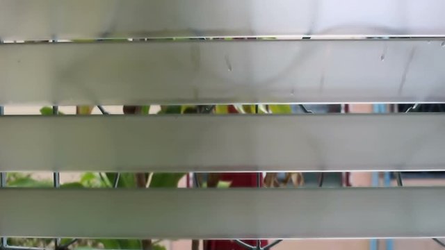 louver glass