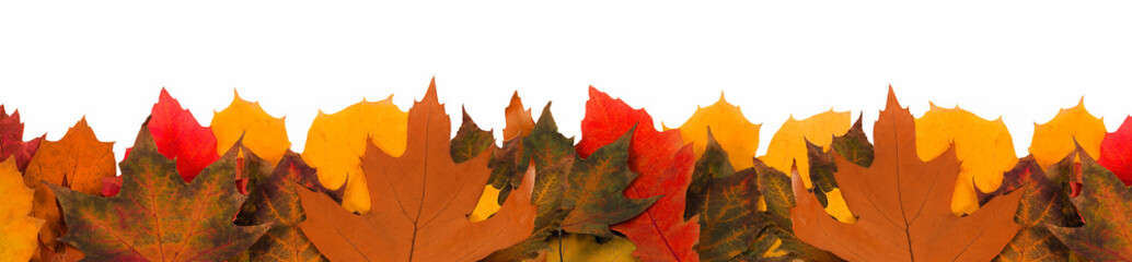 Autumn banner