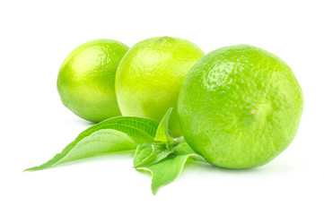 Three fresh limes in line isolated on white with leaves