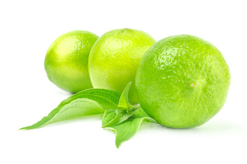 Three whole citrus limes with leaves isolated on white