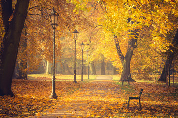 Allée d& 39 arbres colorés avec rangée de lanternes dans le parc d& 39 automne par une journée ensoleillée à Cracovie, Pologne