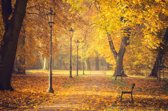 Colorful tree alley with row of lanterns in the autumn park on a sunny day in Krakow, Poland