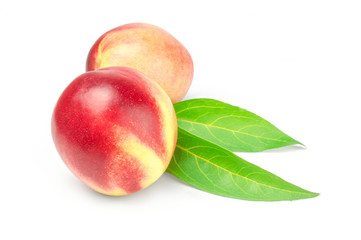 Two nectarines with green leaves isolated on a white background