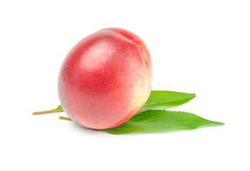 Single nectarine with green leaves over white background