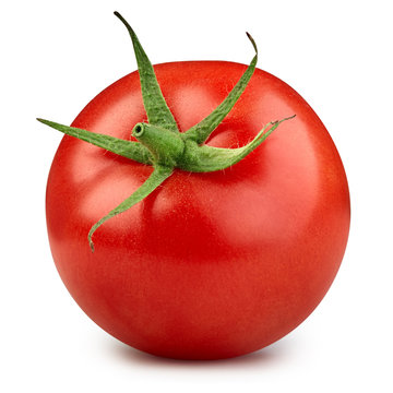 Tomato isolated on white