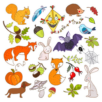Autumn animals set, hand drawn vector set of animals and natural objects