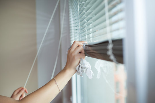 Hand of young woman cleaning blinds by cloth; housework (vignett